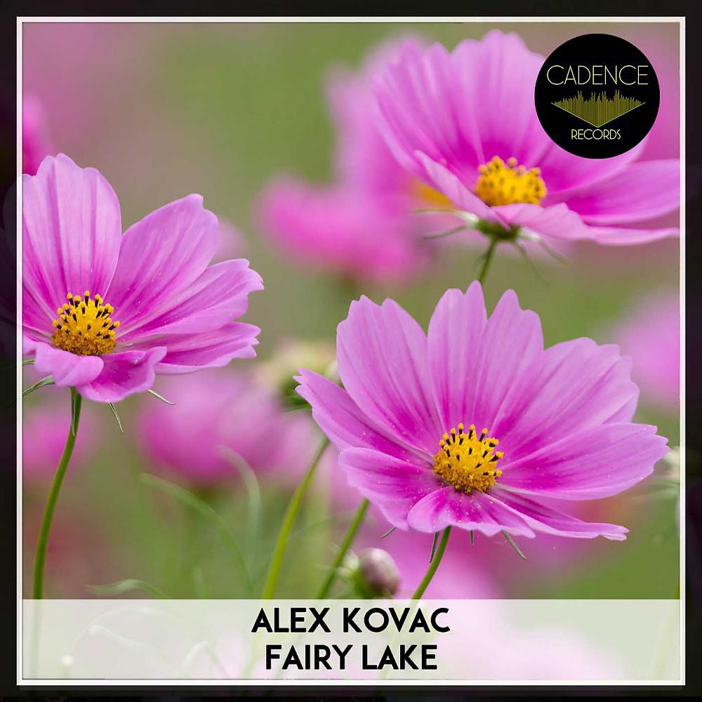 Постер альбома Fairy Lake