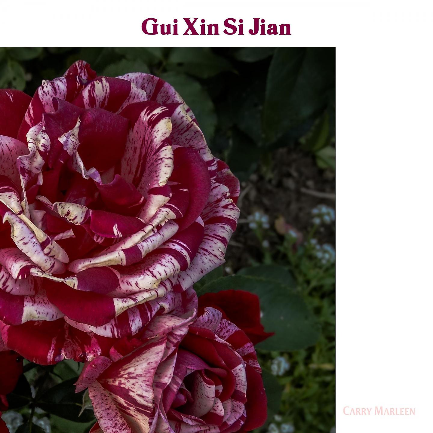 Постер альбома Gui Xin Si Jian