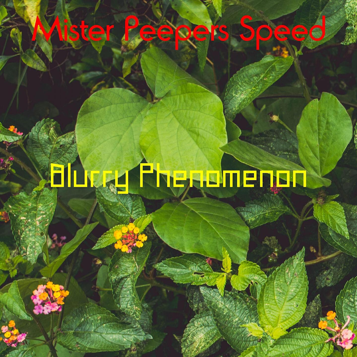 Blurry Phenomenon - Dong Wang