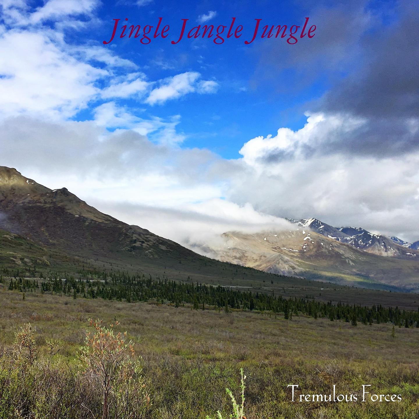 Постер альбома Jingle Jangle Jungle