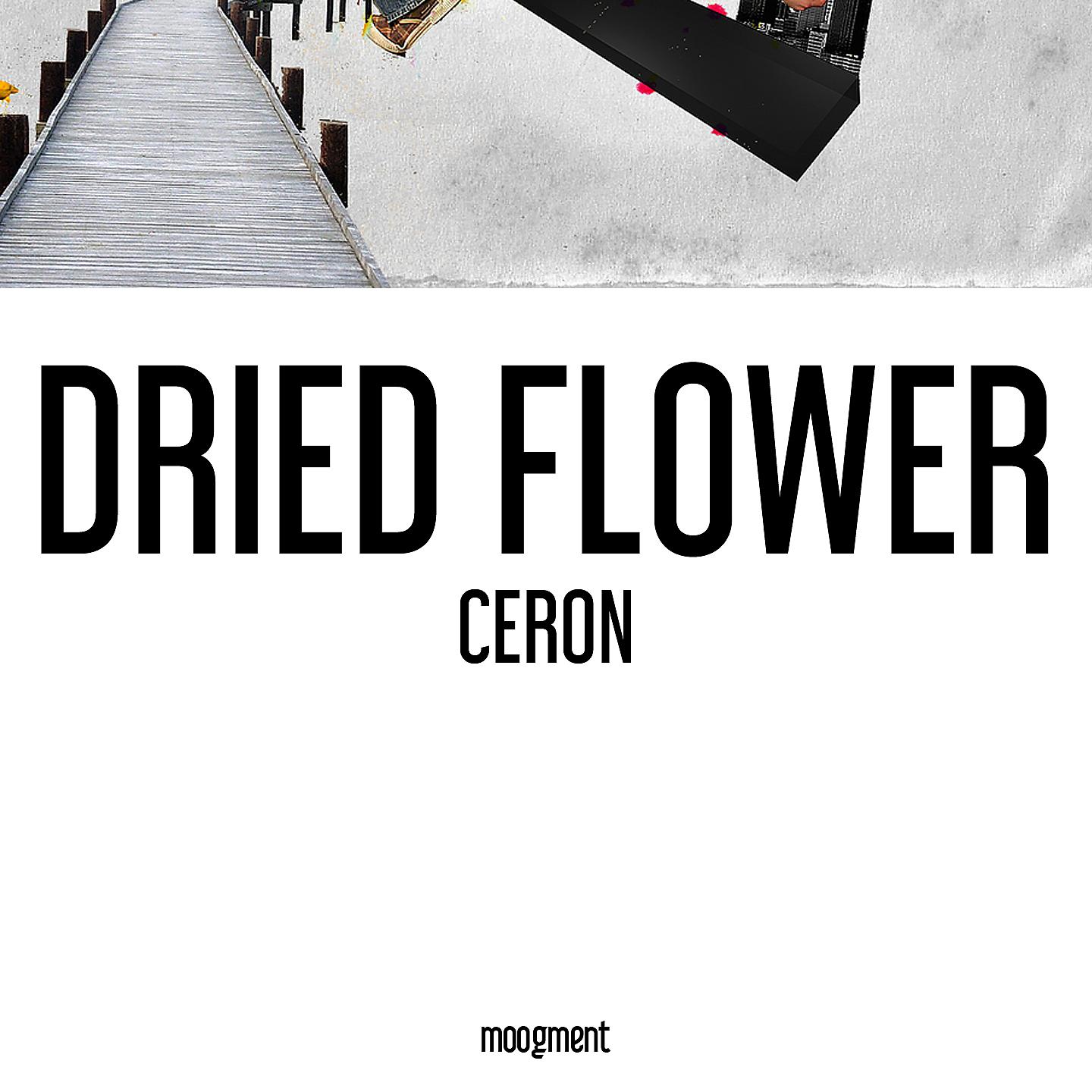 Постер альбома Ceron