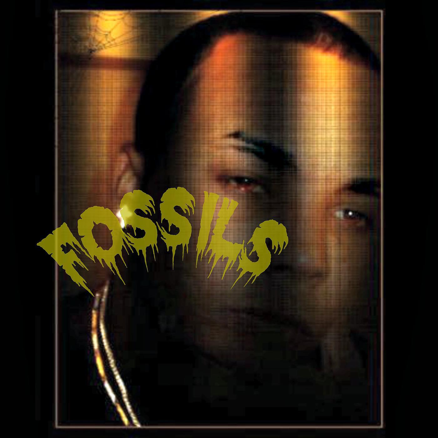 Постер альбома Fossils