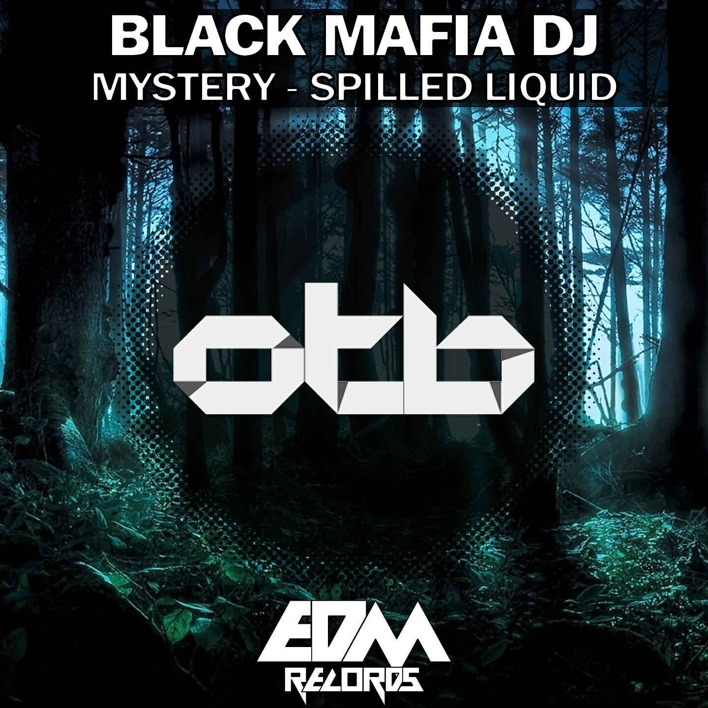 Black Mafia DJ - Mystery
