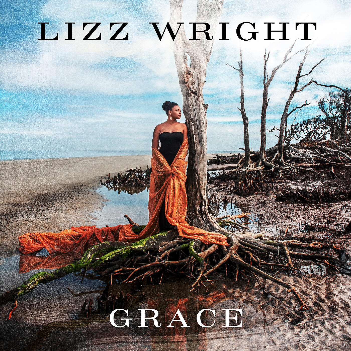 Lizz Wright - All The Way Here