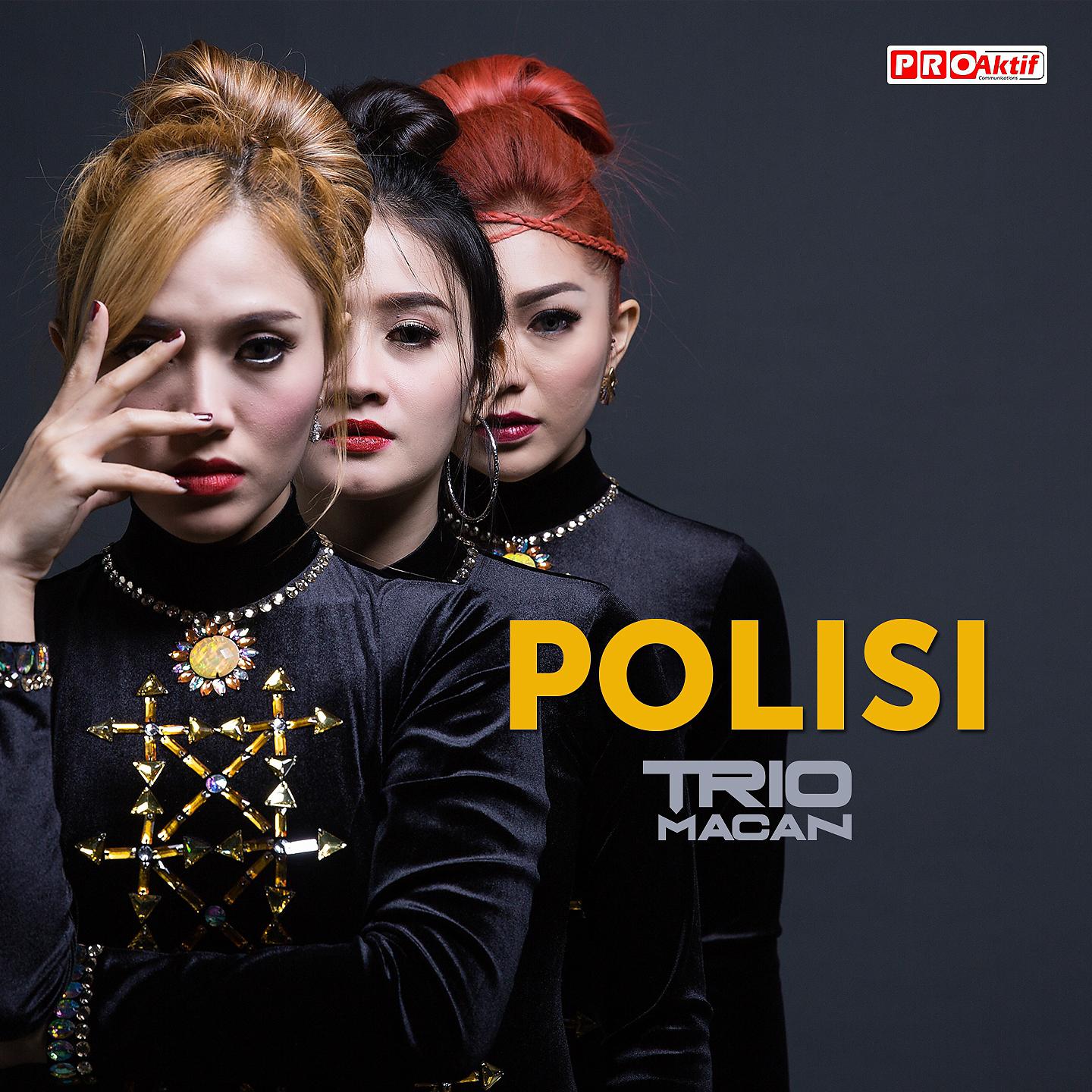 Постер альбома Polisi
