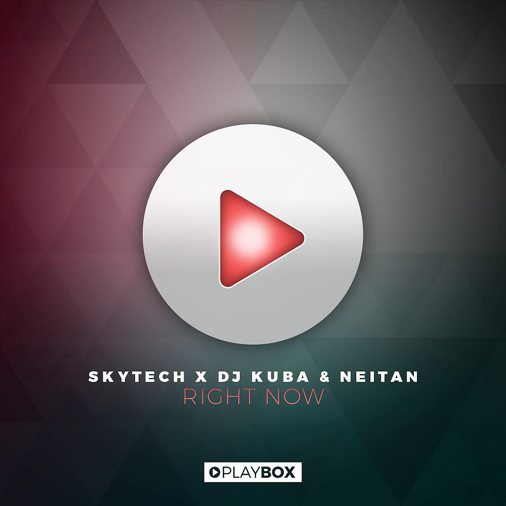 Skytech X DJ Kuba & Neitan - Right Now (Original Mix)