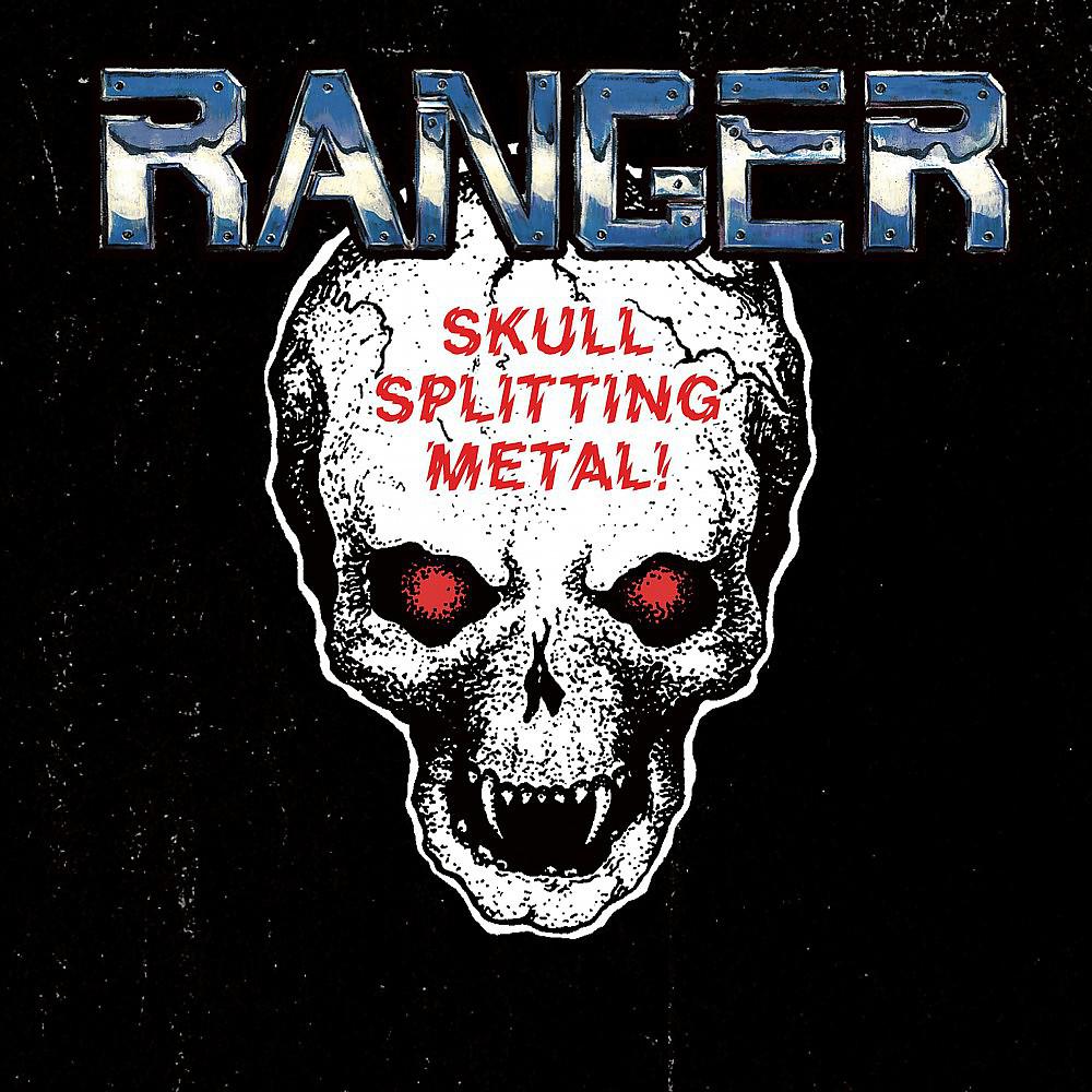 Постер альбома Skull Splitting Metal!
