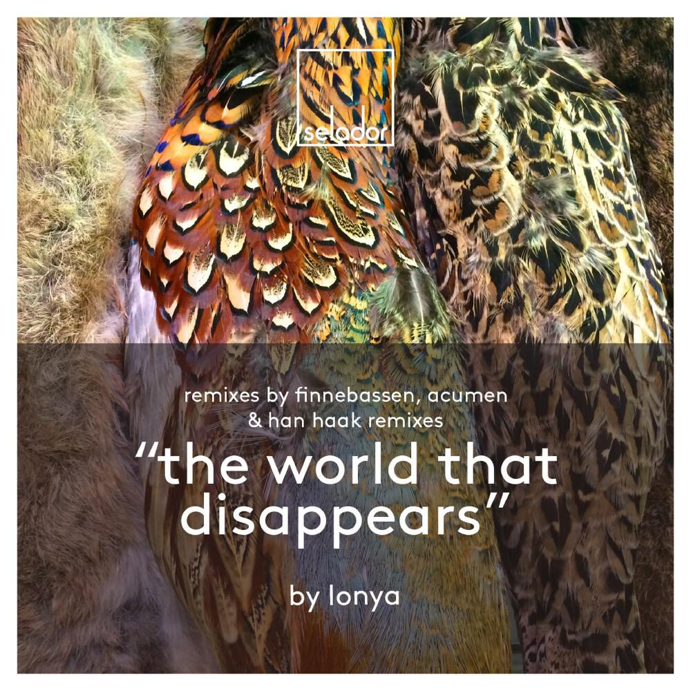Lonya - The World That Disappears (Finnebassen Remix)