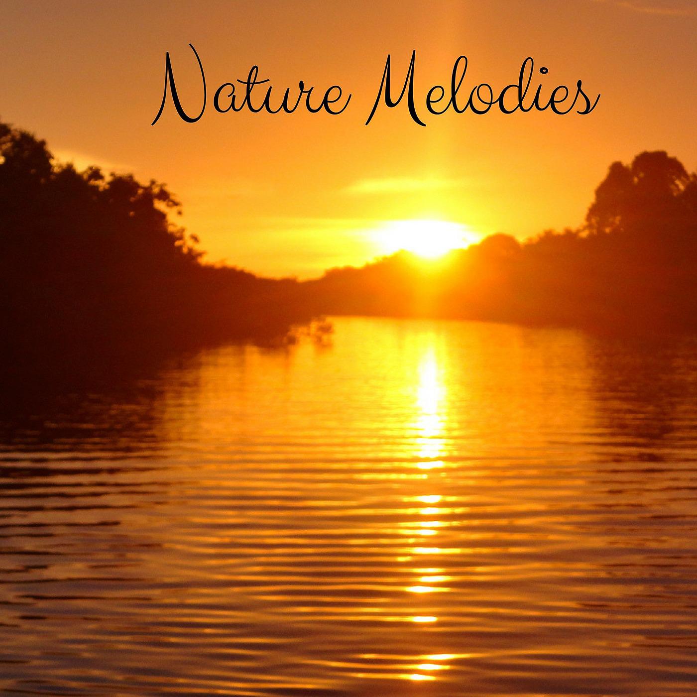 Постер альбома Nature Melodies