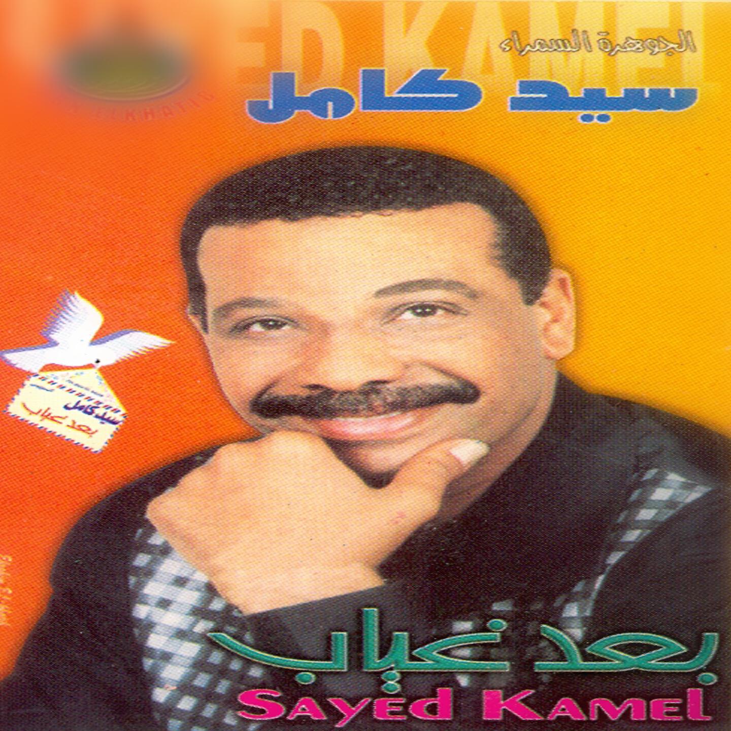 Sayed Kamel - El Leil