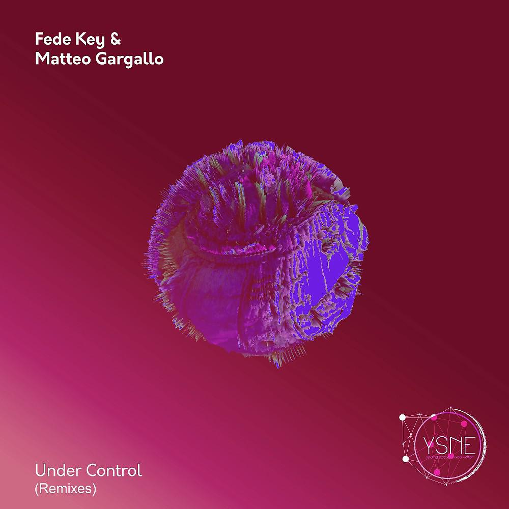 Постер альбома Under Control (Remixes)