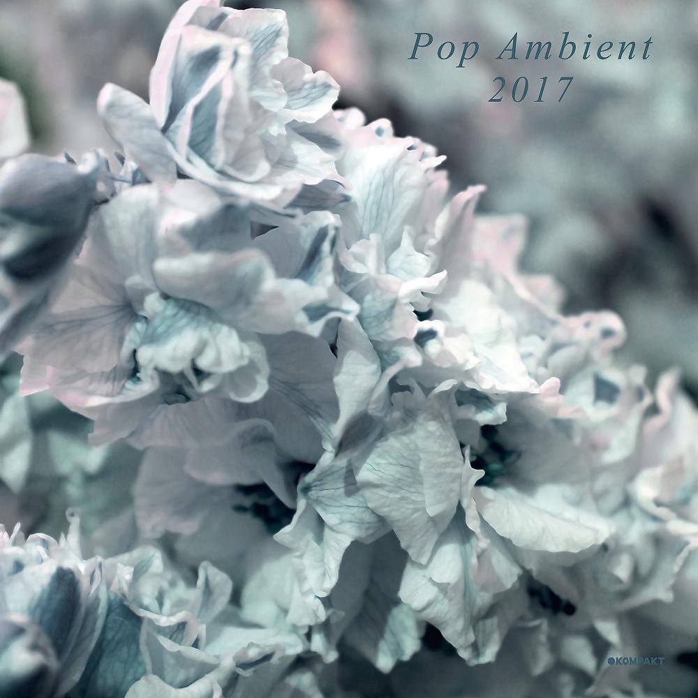 Постер альбома Pop Ambient 2017
