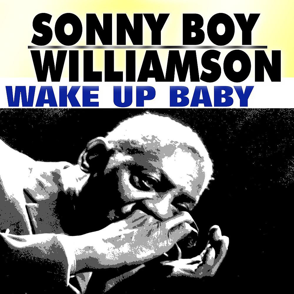 Постер альбома Wake up Baby