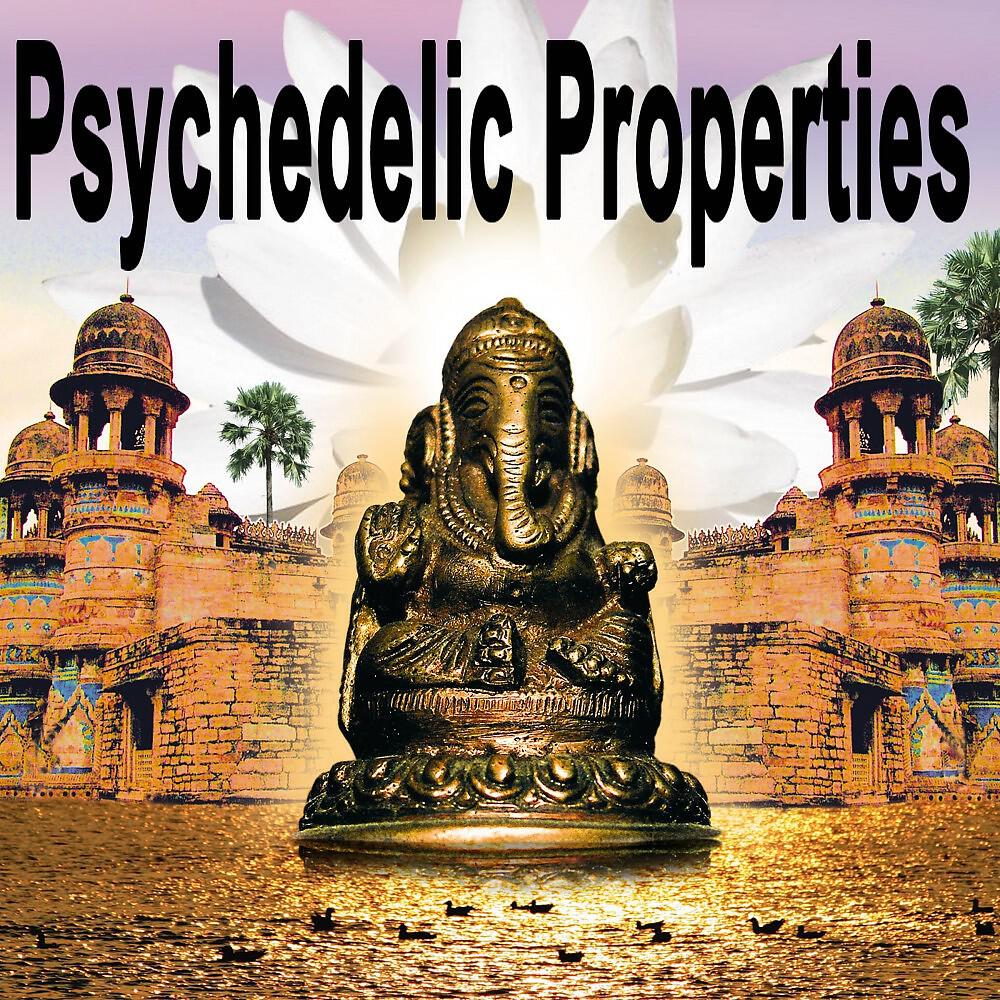 Shambala Project - Full Moon Paradize
