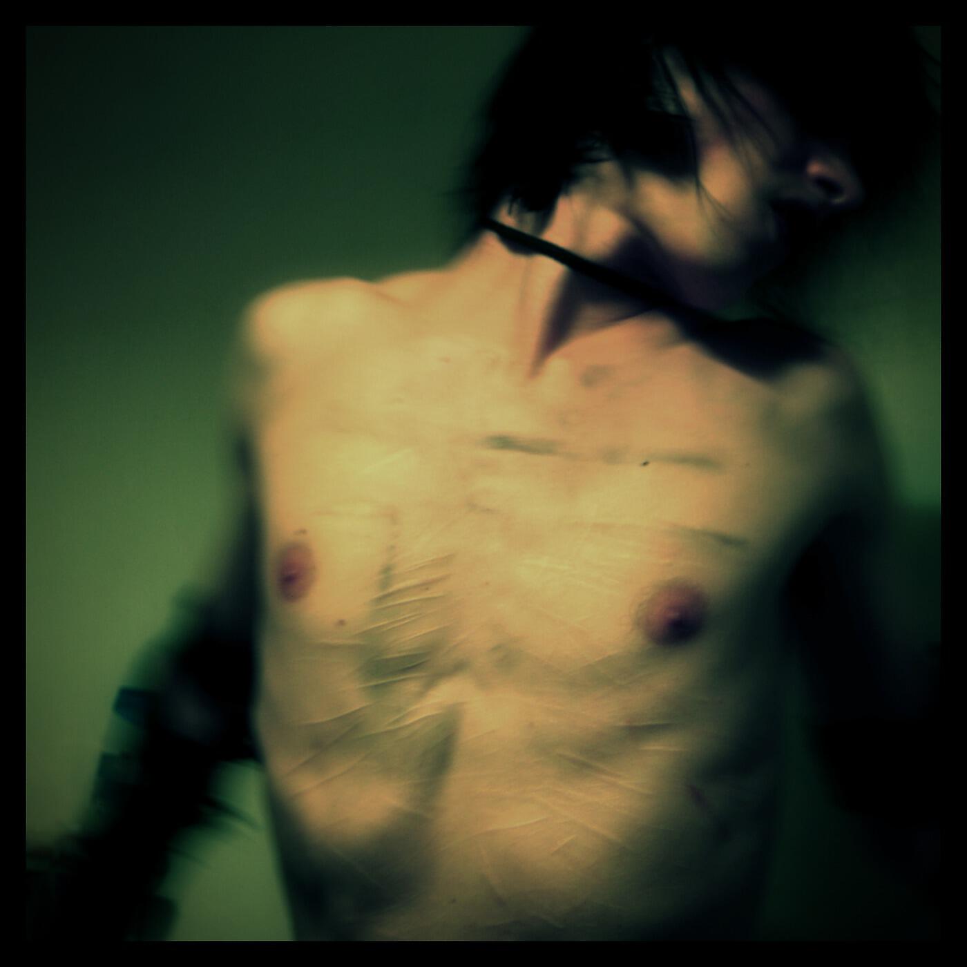 The Dead Birds - Lifestream