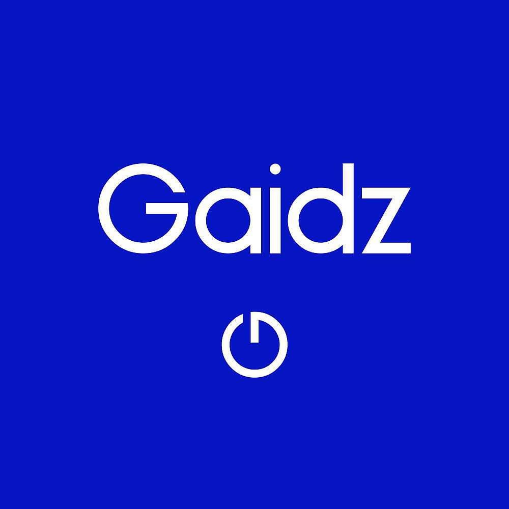 Gaidz - Synthesis