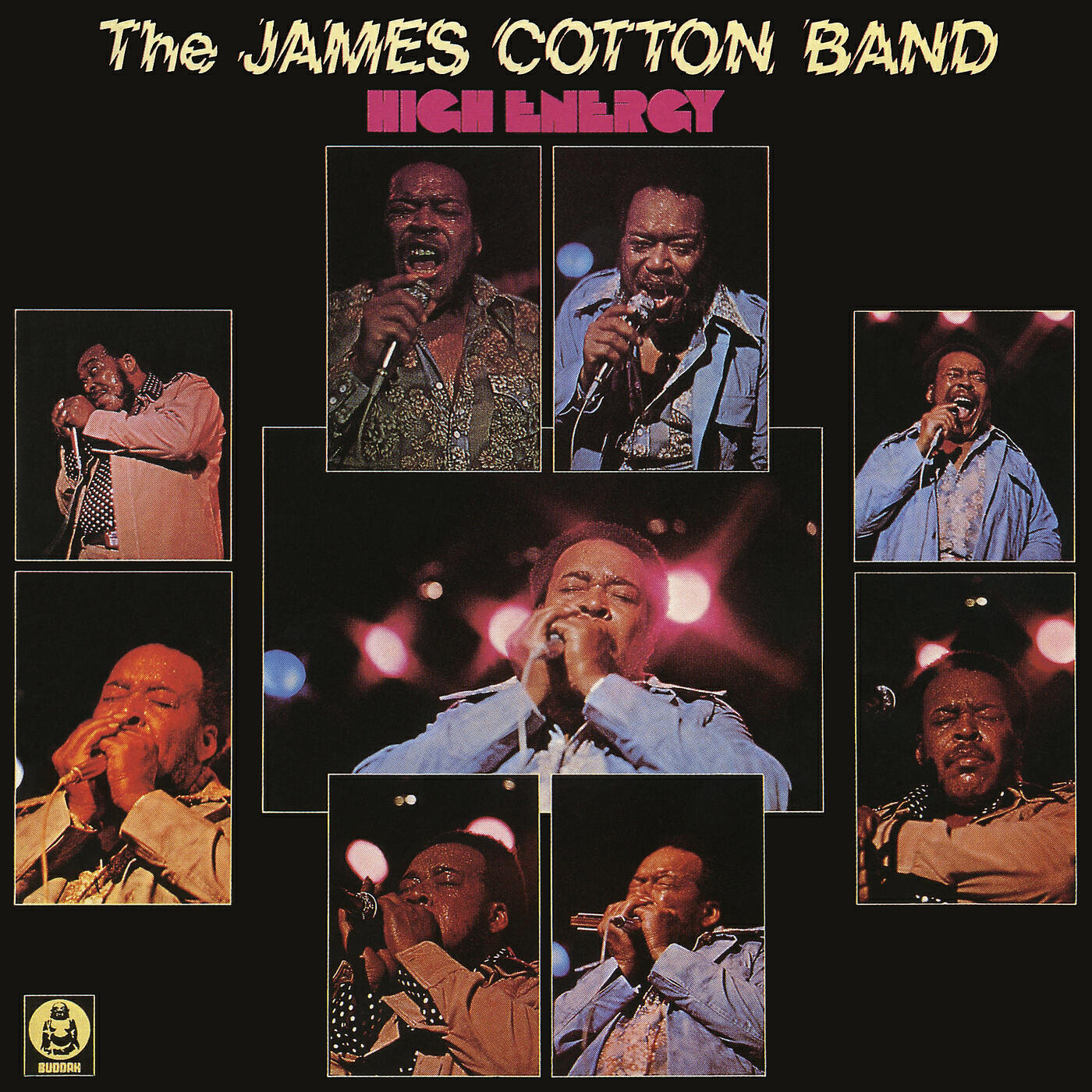 The James Cotton Band - Weather Report (The Weather Man Said)