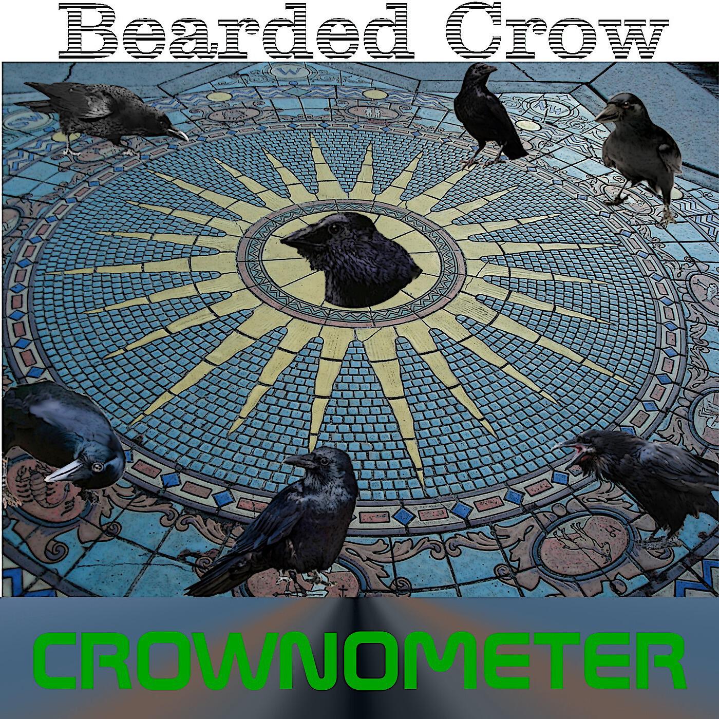 Bearded Crow - Litsin