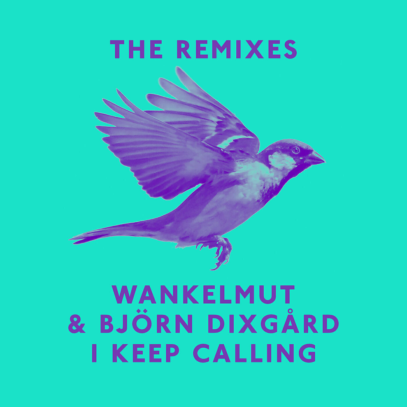 Wankelmut - I Keep Calling (Wankelmut Club Mix)