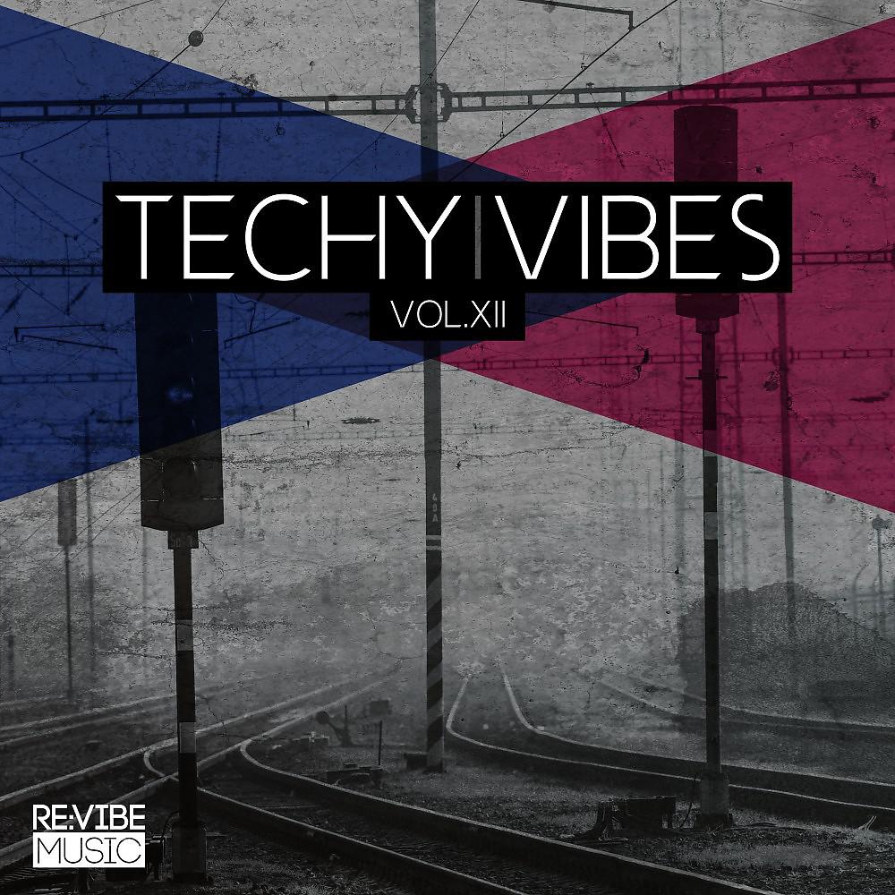 Постер альбома Techy Vibes, Vol. 12