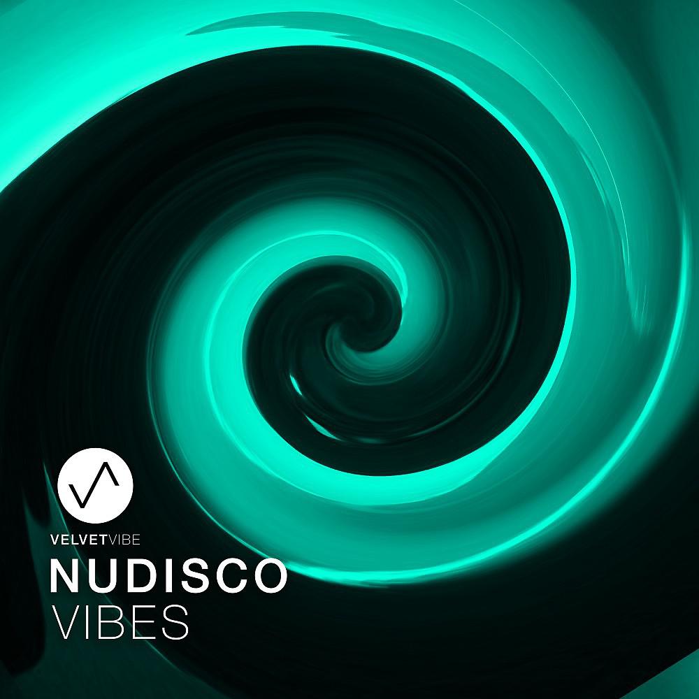 Постер альбома Nudisco Vibes, Vol. 2