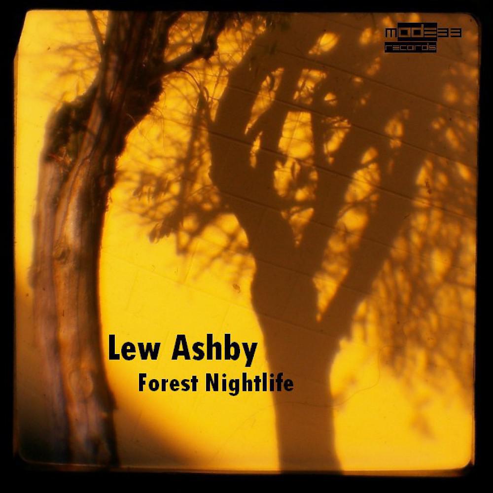 Постер альбома Forest Nightlife
