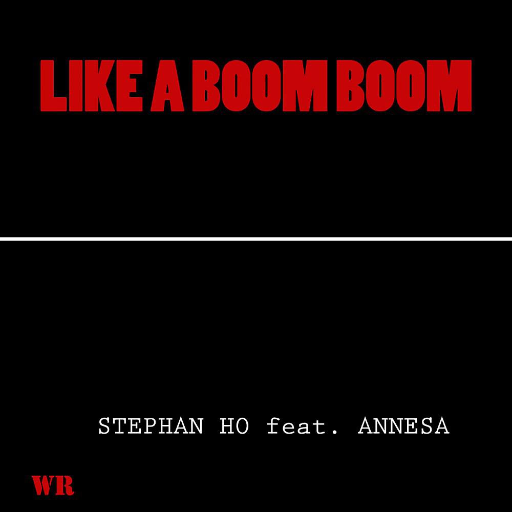 Постер альбома Like a Boom Boom