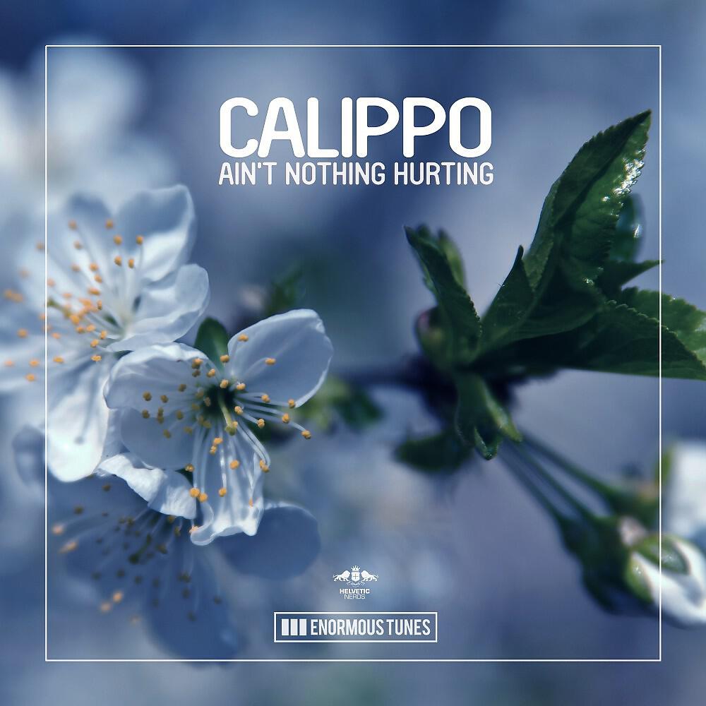 Calippo - Ain't Nothing Hurting (Original Club Mix)
