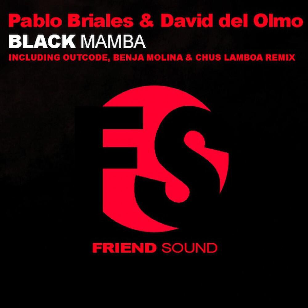 Pablo Briales And David Del Olmo - Black Mamba (Original)