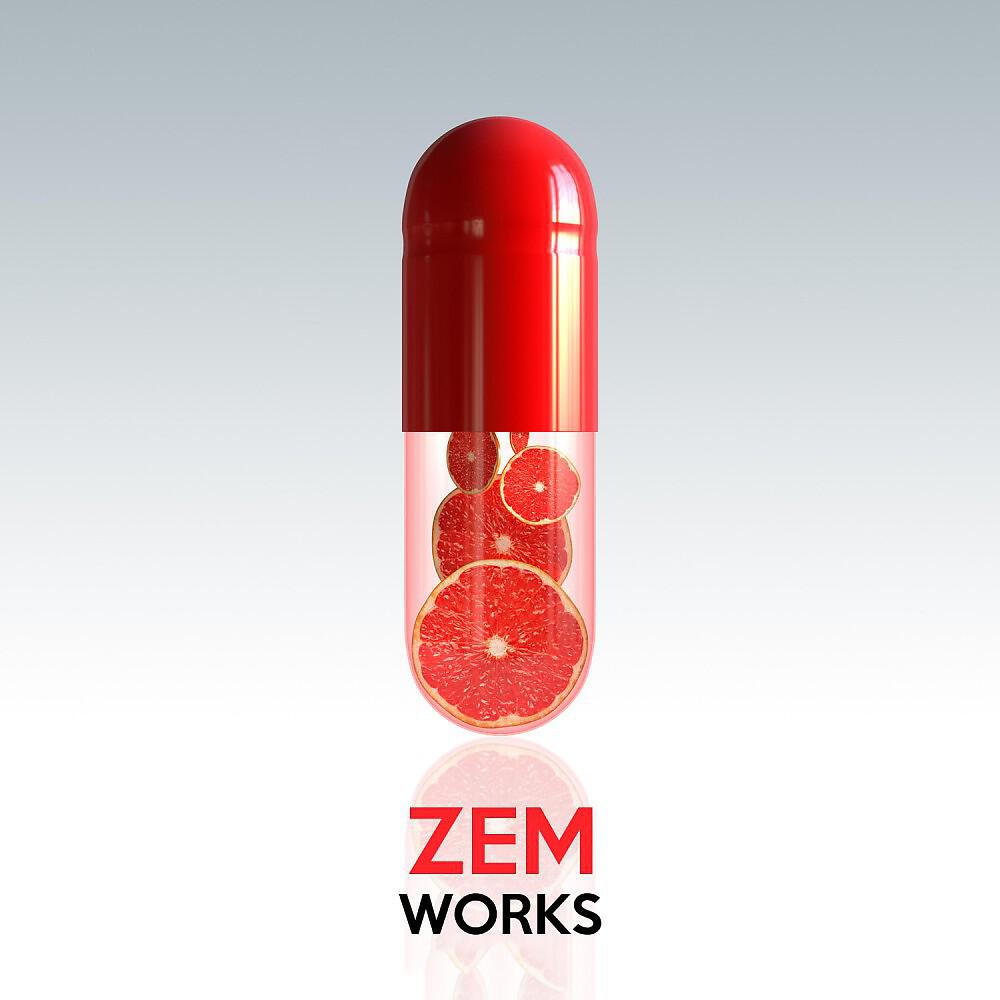 Zem - Sudden Progress (Original Mix)