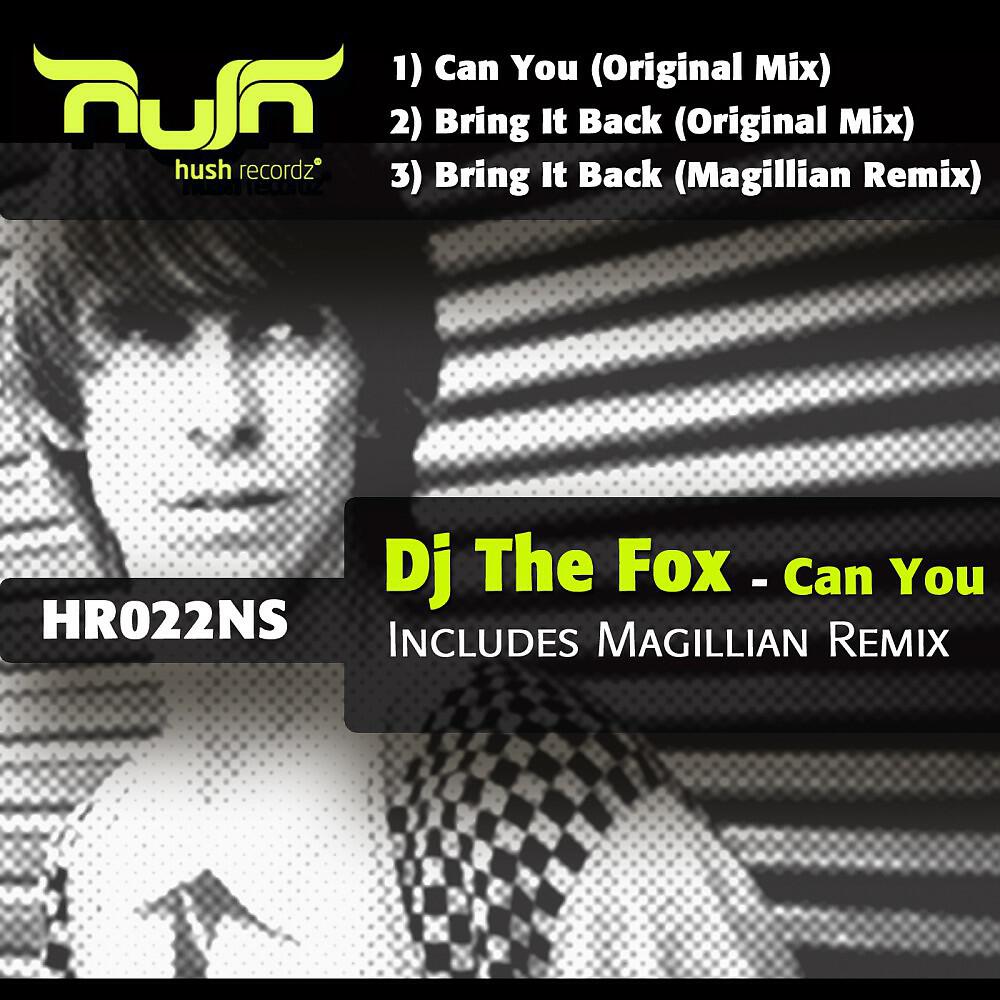 DJ The Fox - Bring It Back (Magillian Remix)