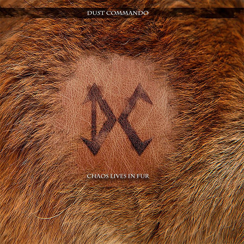 Dust Commando - Holy Roller Skeptic Fella Blues