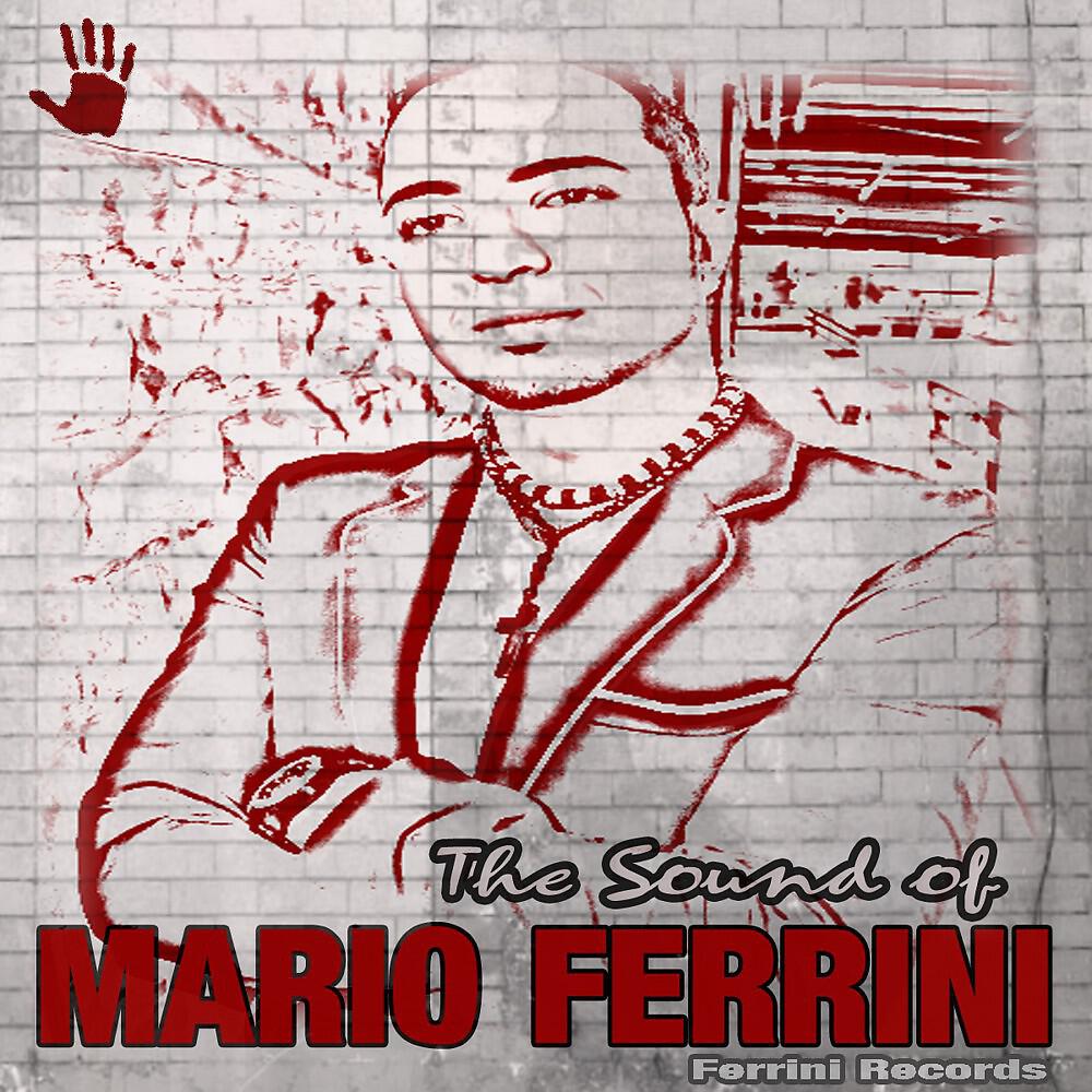 Valton - Did You Know (Mario Ferrini Electro House Remix)
