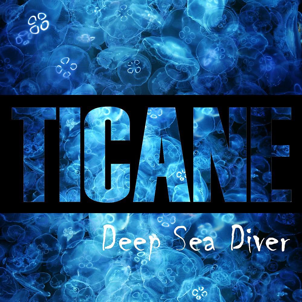 Постер альбома Deep Sea Diver