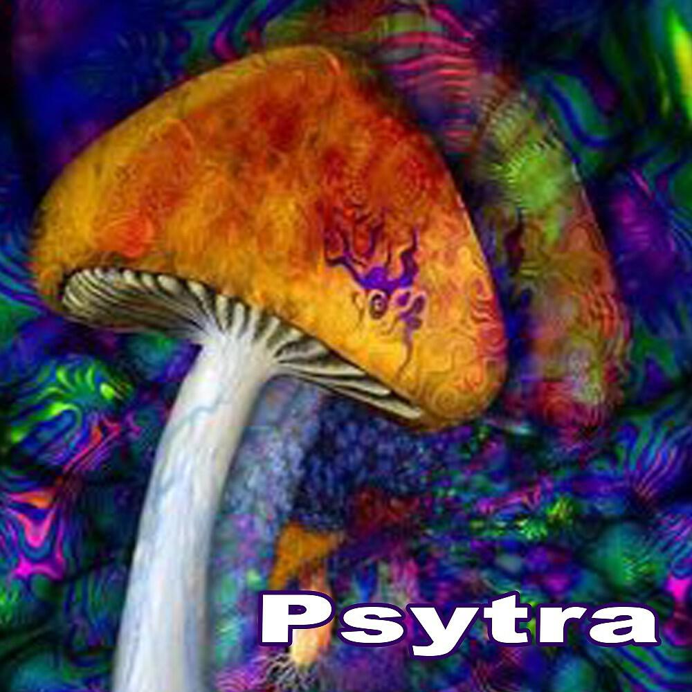 Psy-Fi - The Information Man (145 Bpm)