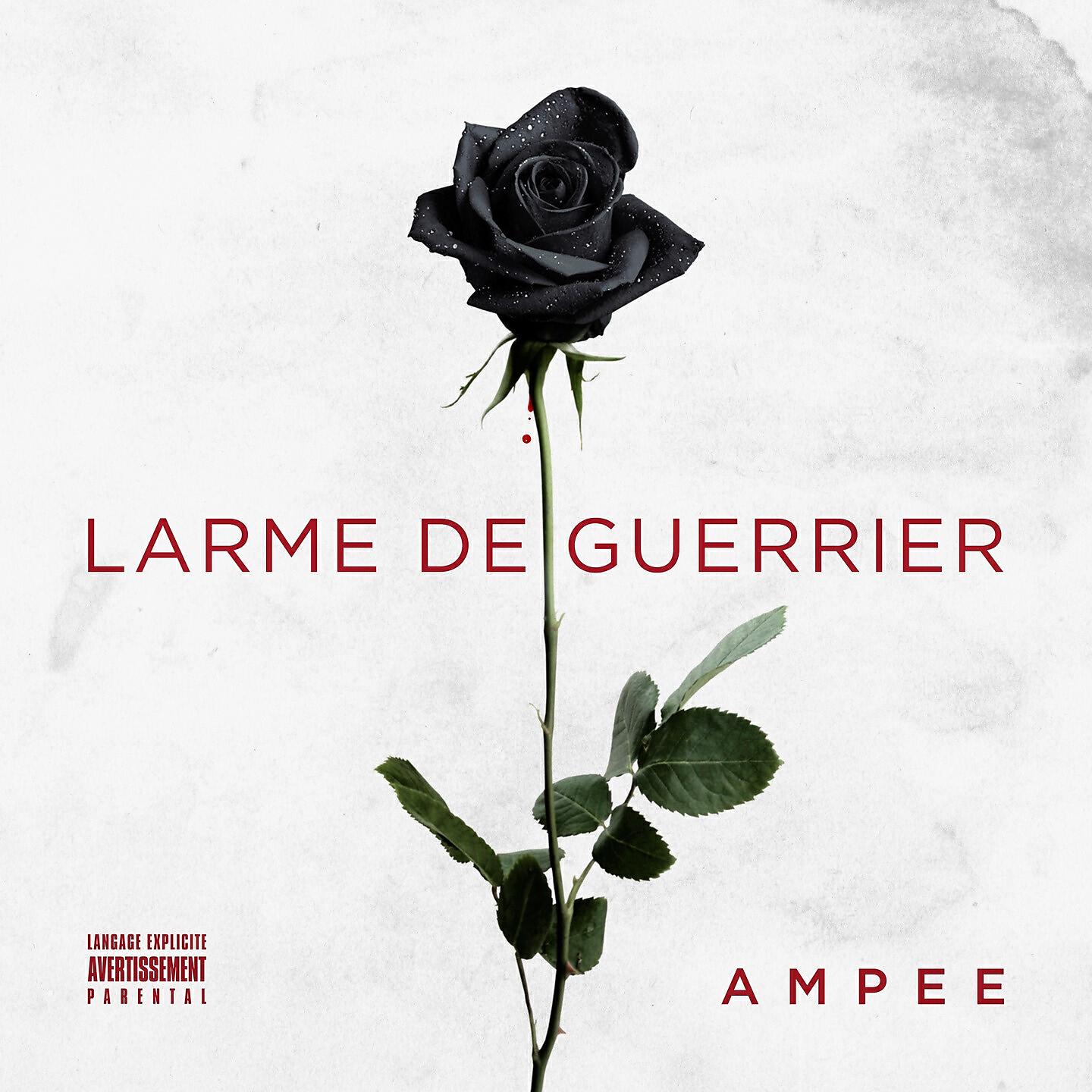 Ampee - Paradise City