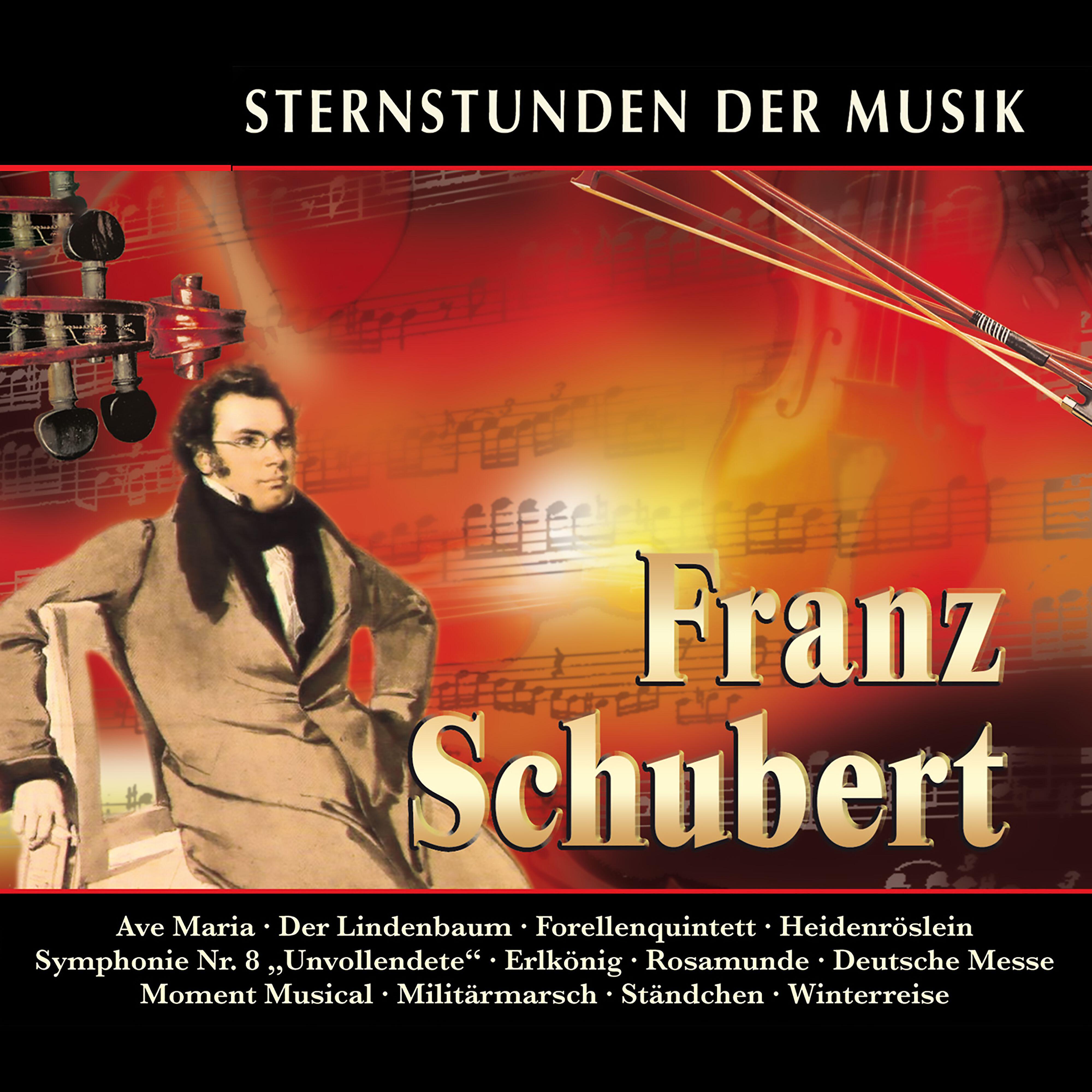 Herbert Lippert - Mass No. 6 in E-Flat Major, D. 950: III. Credo. Moderato 
