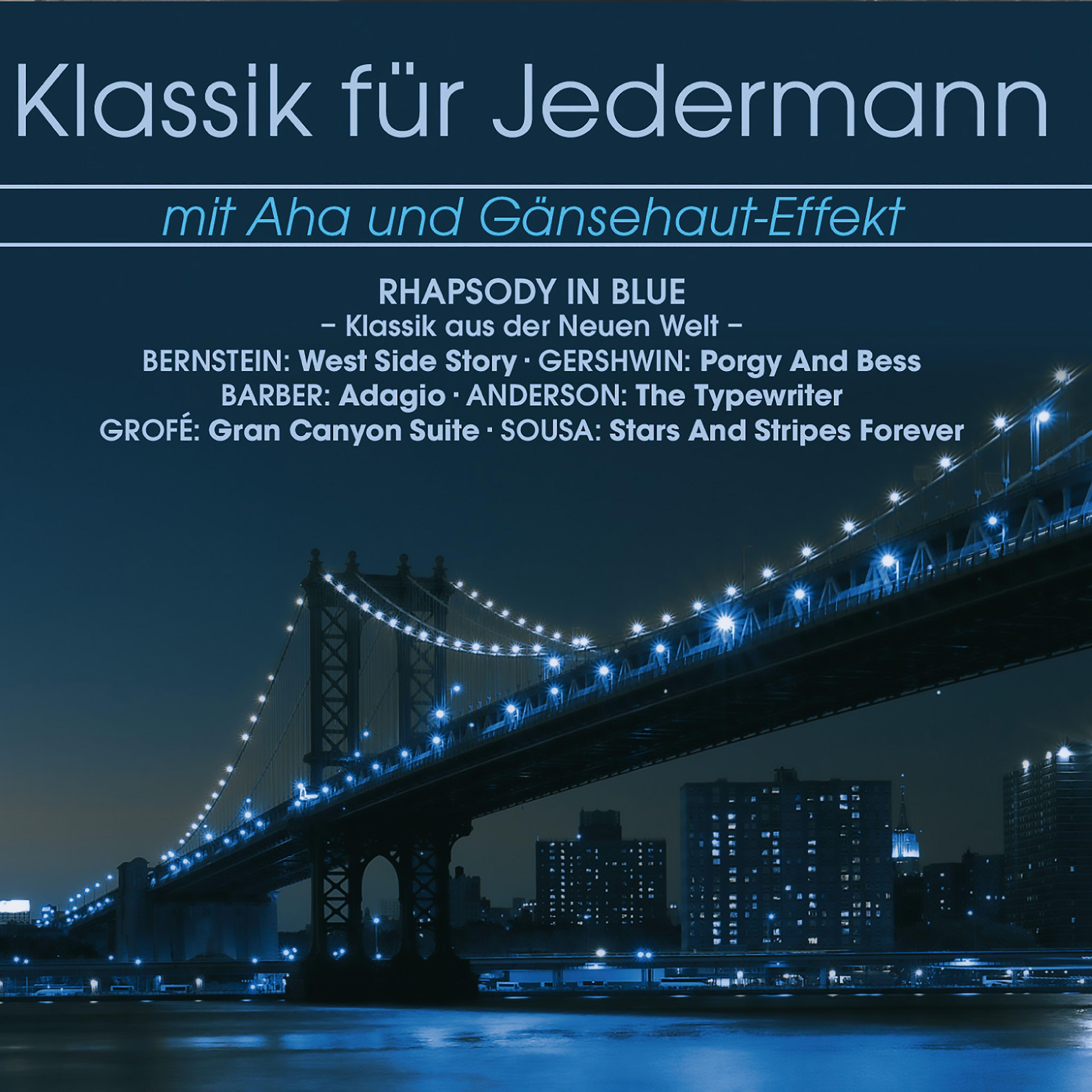 Постер альбома Klassik für Jedermann: Klassik aus der Neuen Welt