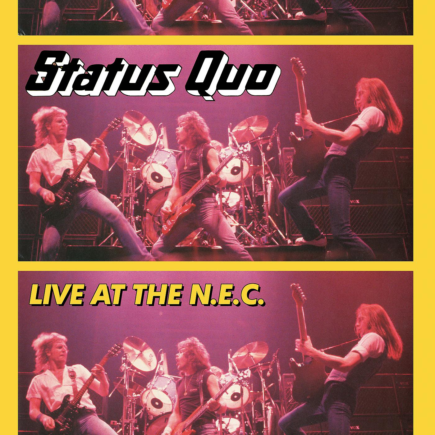 Постер альбома Live At The N.E.C.