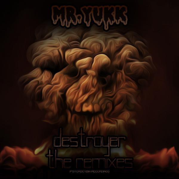 Постер альбома Destroyer The Remixes EP