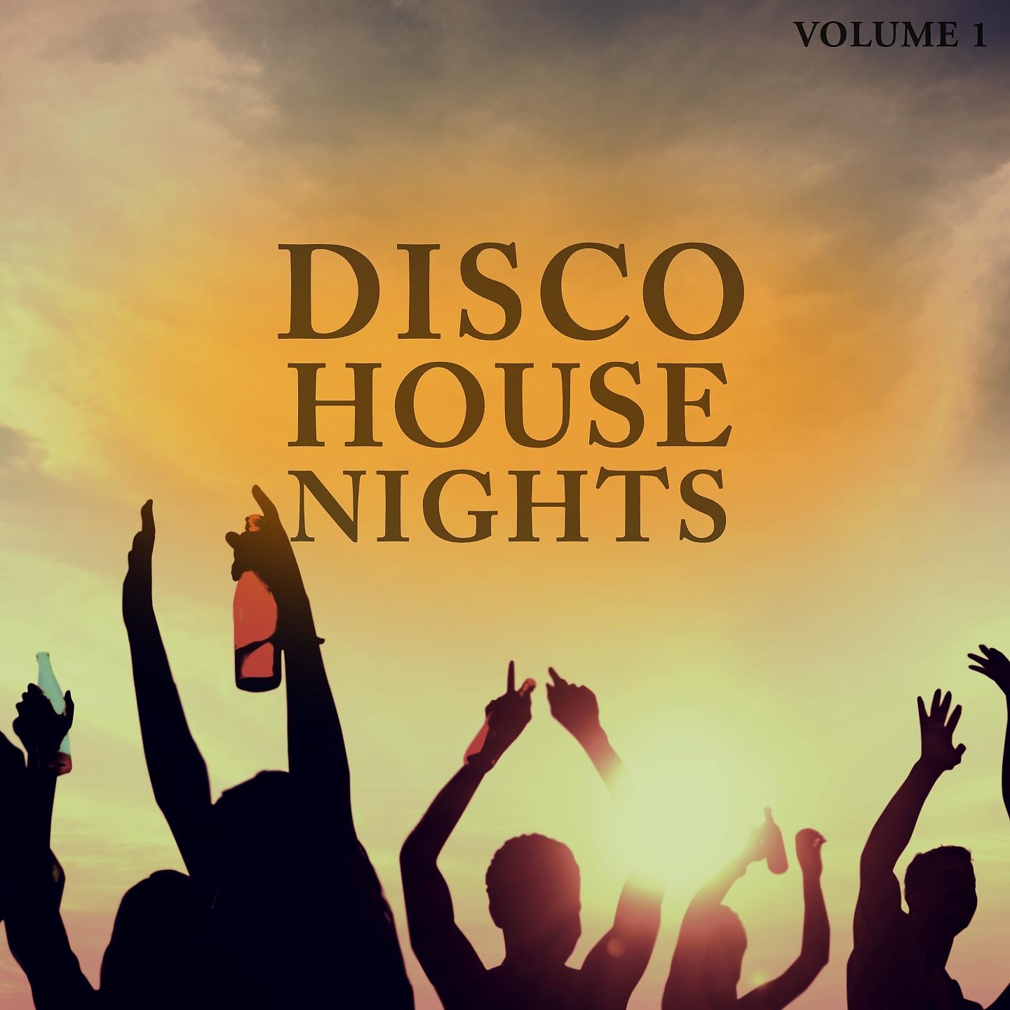 Постер альбома Disco House Nights, Vol. 1