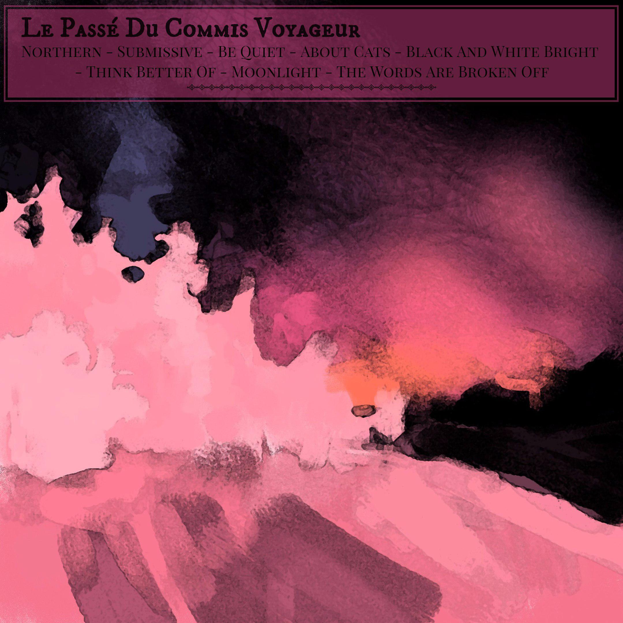 Постер альбома Le passé du commis voyageur
