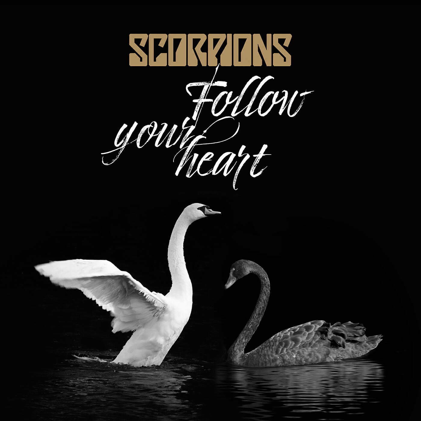 Scorpions born touch feelings. Scorpions follow your Heart. Scorpions follow your Heart альбом. Scorpions обложки альбомов. Scorpions follow your Heart текст.