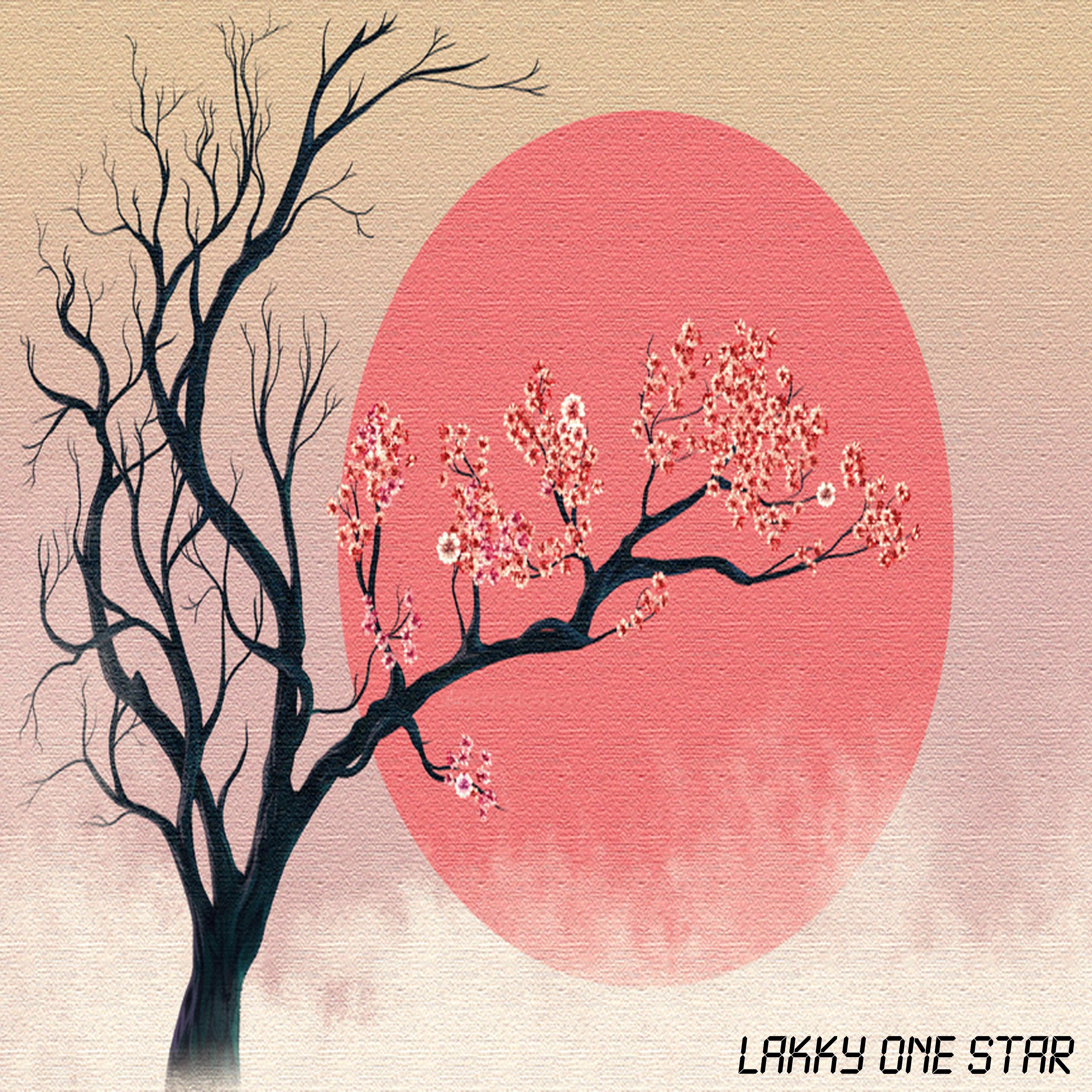LAKKY ONE STAR - Aladin