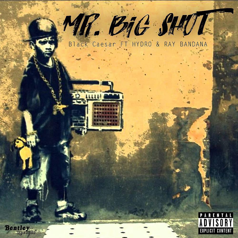 Постер альбома Mr. Big Shot