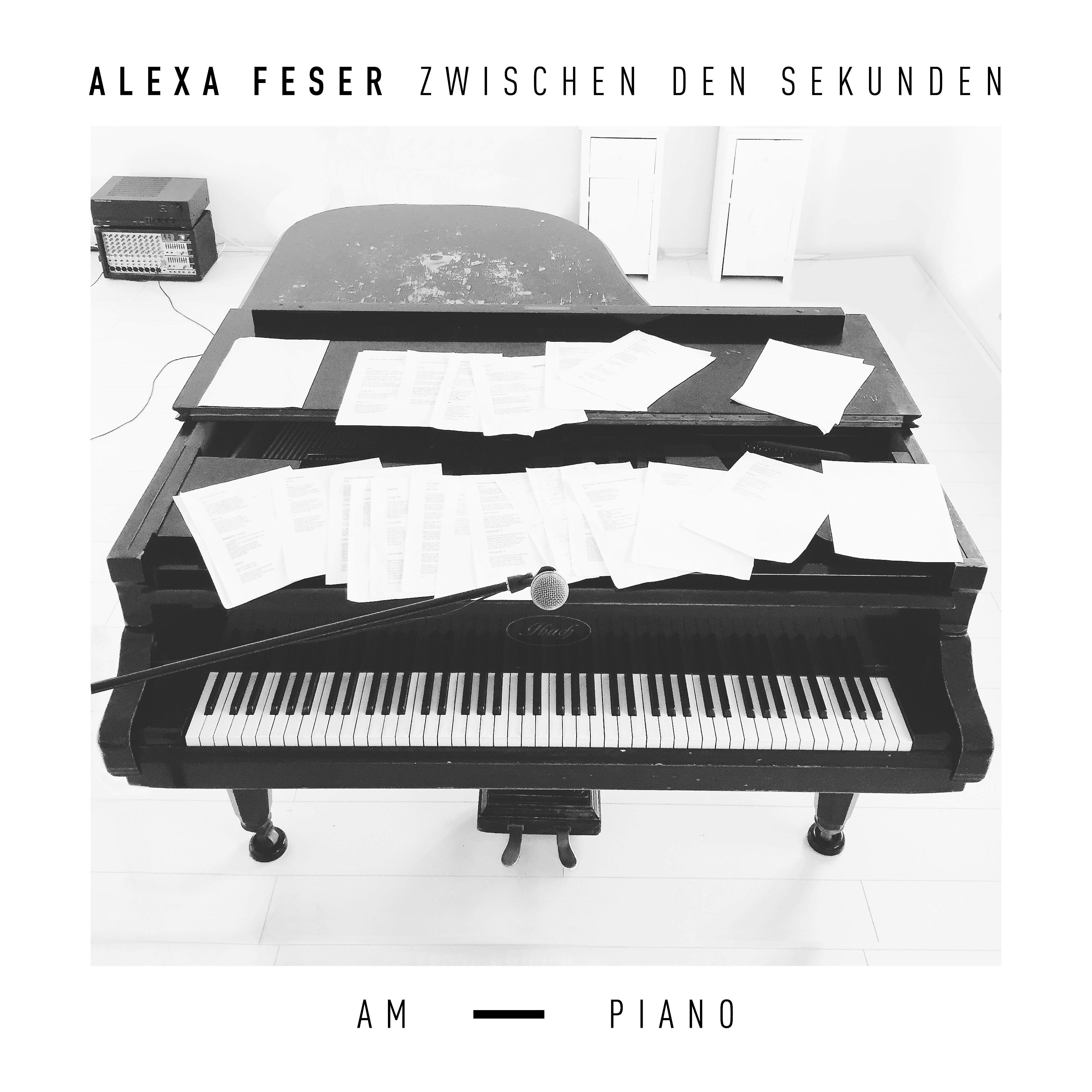 Постер альбома Zwischen den Sekunden - Am Piano