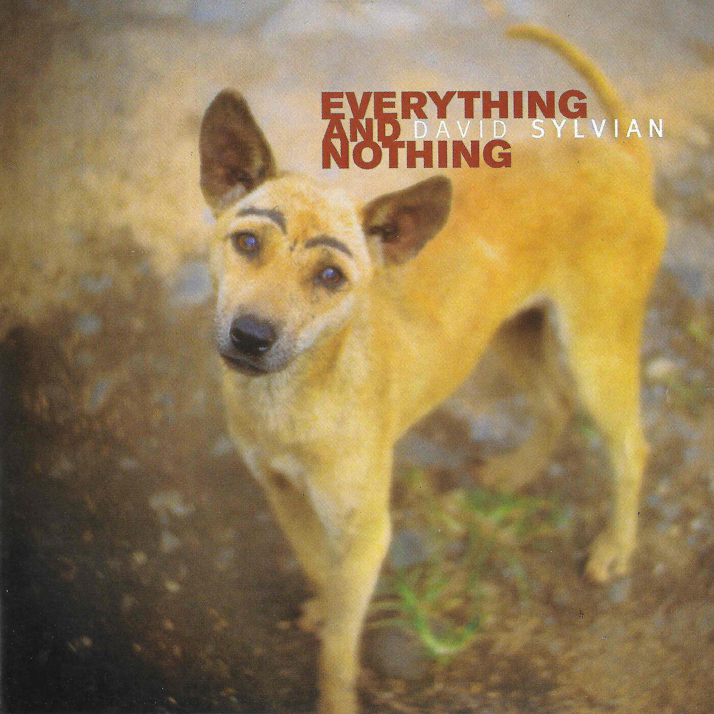David Sylvian - Thoroughly Lost To Logic