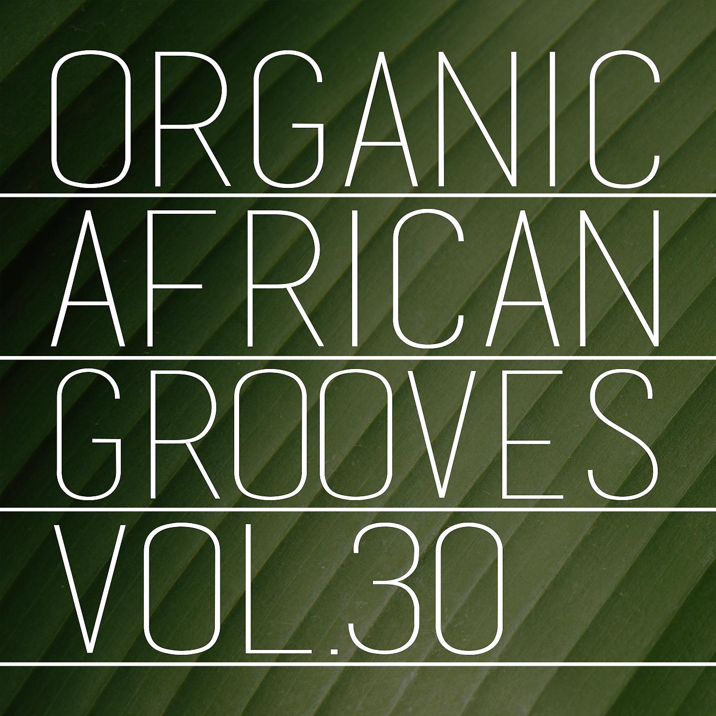 Постер альбома Organic African Grooves, Vol.30