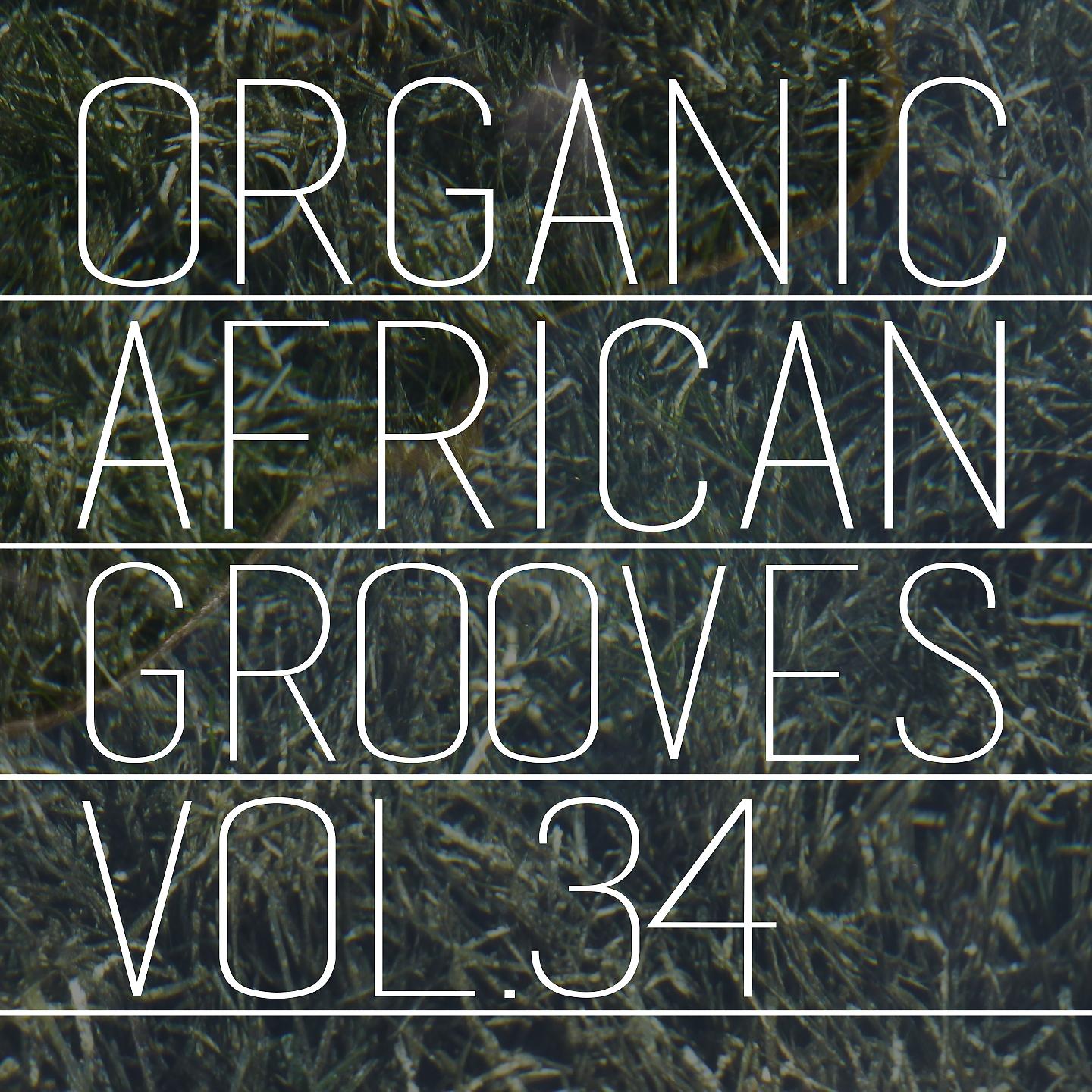 Постер альбома Organic African Grooves, Vol.34