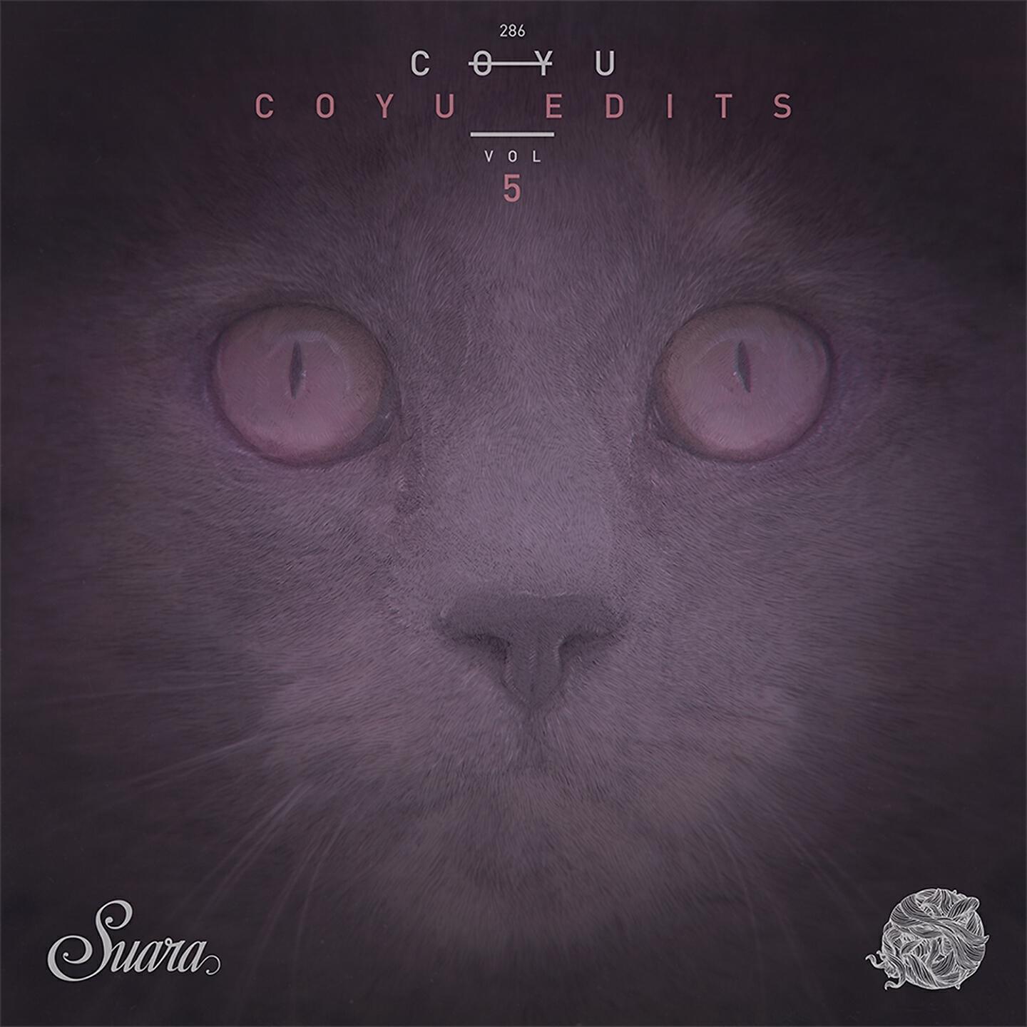 Rafael Cerato - Mayday Mayday (Coyu Raw Edit)